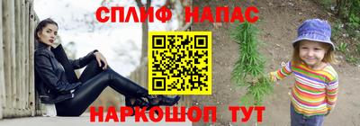 стафф Кинель