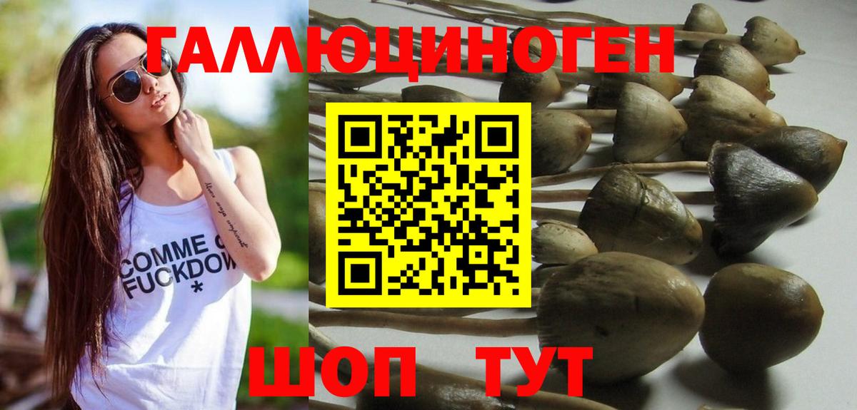 Славгород  Галлюциногенные грибы Psilocybe  Галлюциногенные грибы Cubensis  Вход с VPN 